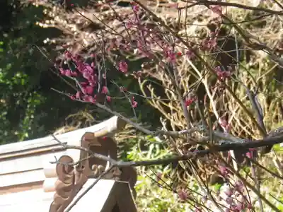 荏柄天神社のその他建物