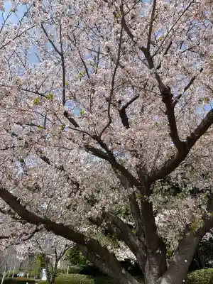 菊名神社(神奈川県)