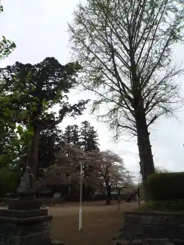 弘経寺(茨城県)