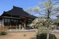 天性寺の本殿・本堂