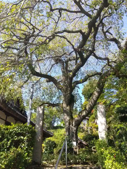 雲源寺(京都府)
