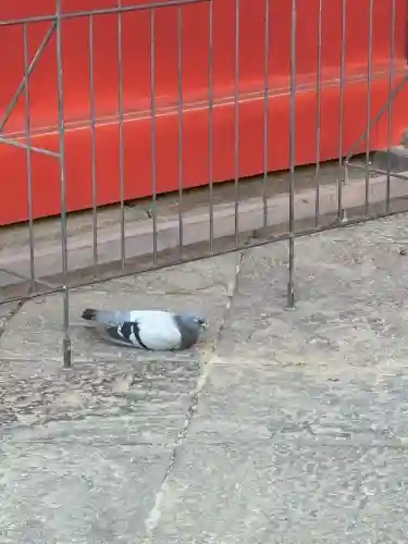 根津神社(東京都)