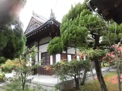 南宗寺(大阪府)