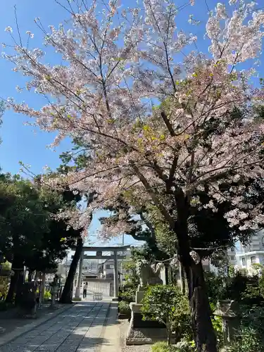 菊田神社の自然