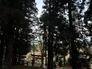 大宮温泉神社(栃木県)(2022年12月03日(土) 08時10分58秒投稿)