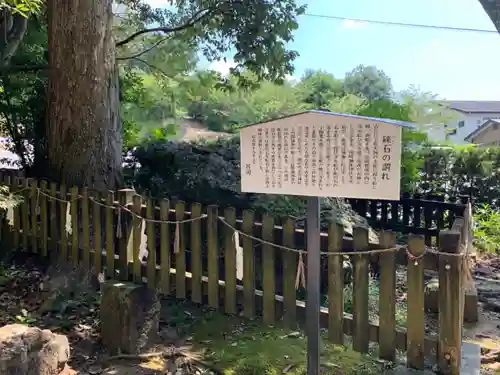 土佐神社の歴史