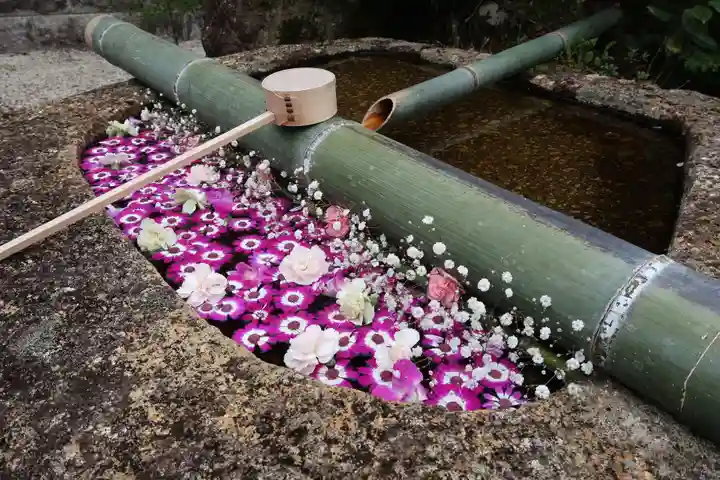 萬勝寺(飯高観音)(岐阜県)