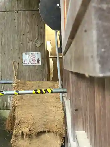 多度大社(三重県)