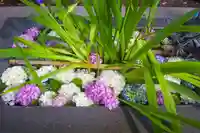 東海市熊野神社の手水舎