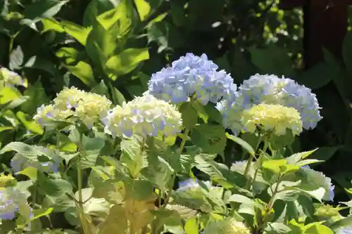 国宝 大法寺(長野県)
