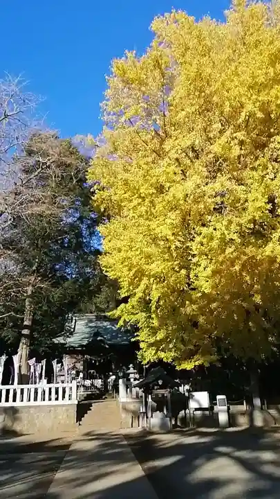 鶴嶺八幡宮(神奈川県)