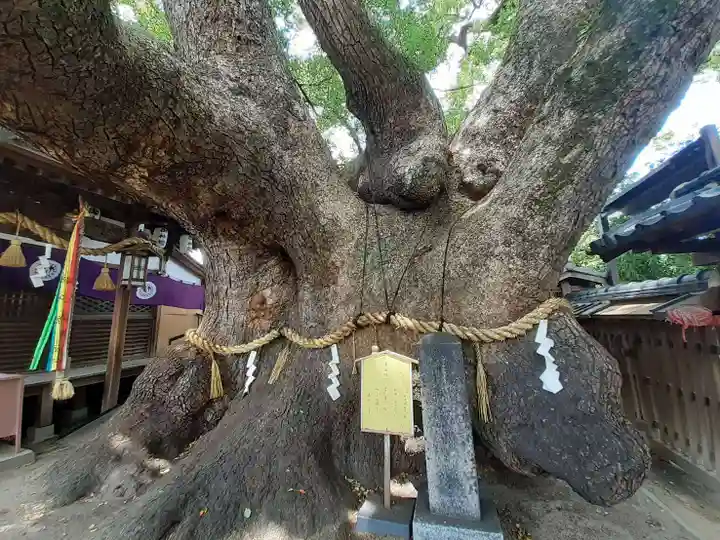 三島神社(大阪府)