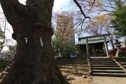 愛宕神社の鳥居