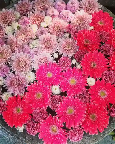 白山神社の手水舎