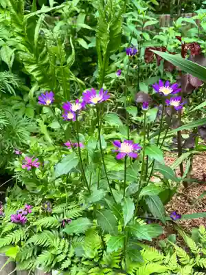 明月院(神奈川県)