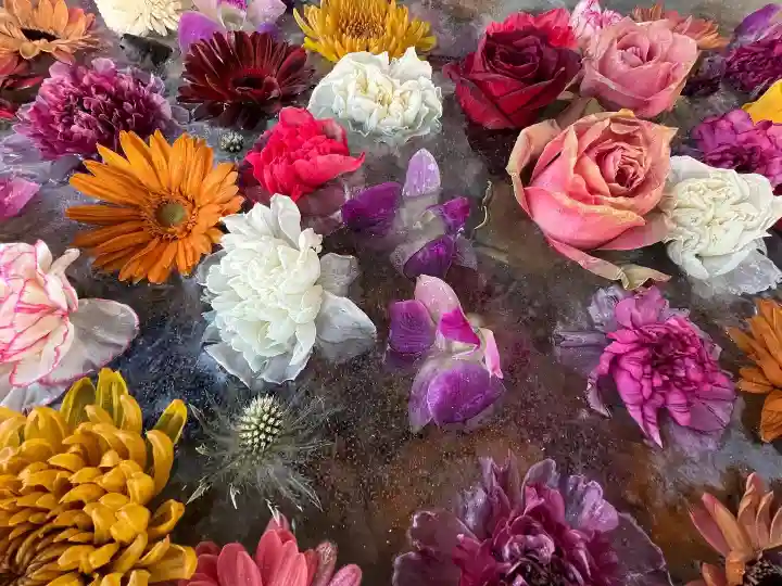 札幌諏訪神社の手水舎