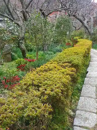 瑞泉寺の庭園