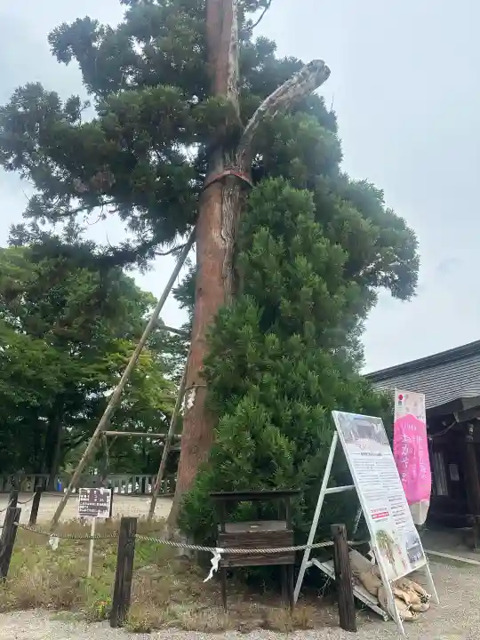 吉備津彦神社(岡山県)