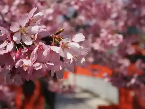 車折神社(京都府)