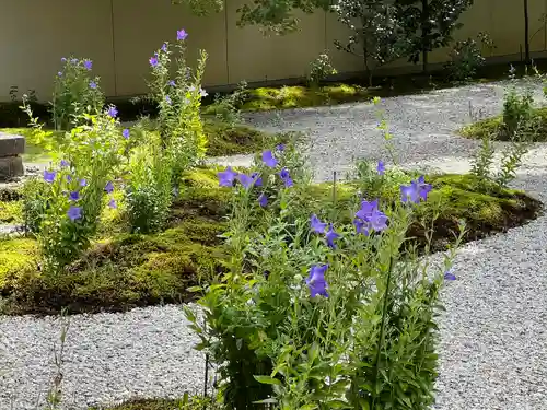 廬山寺（廬山天台講寺）(京都府)