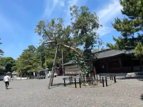 氣比神宮(福井県)