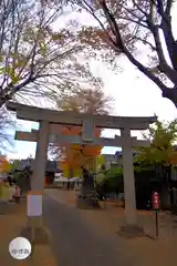 上戸田氷川神社(埼玉県)