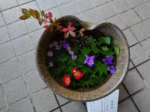 美瑛神社の手水舎