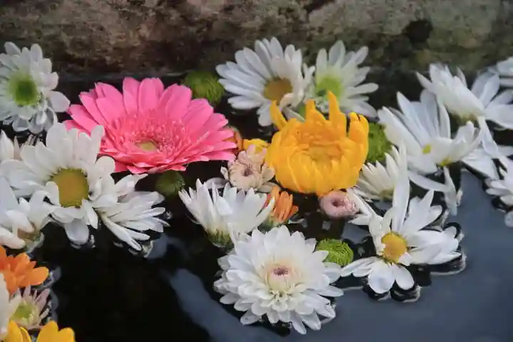 八幡神社の手水舎