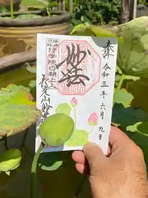水蓮