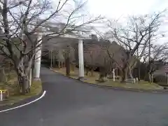 愛宕神社の鳥居