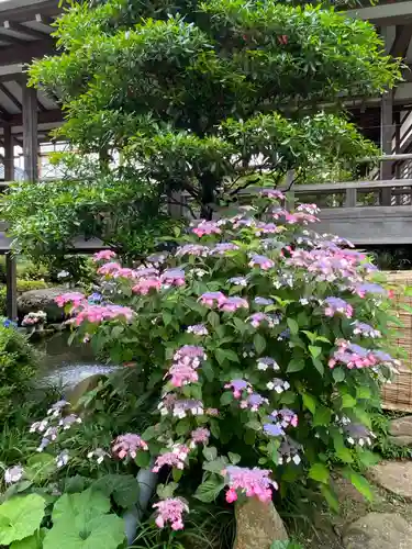 楽法寺（雨引観音）(茨城県)