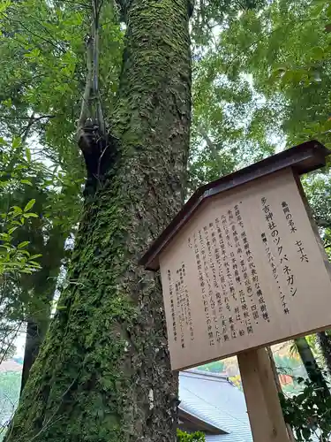 多吉神社の自然