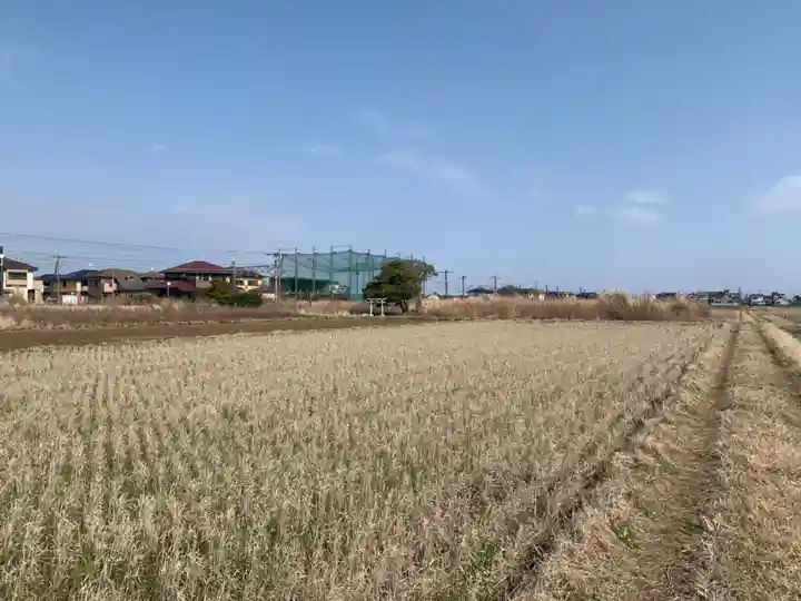 ふしぎ松稲荷大明神(千葉県)