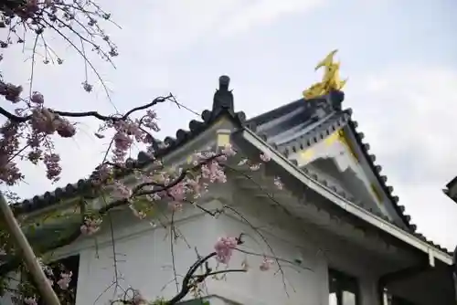 寿量山　速成寺のその他建物