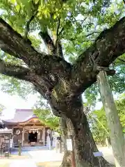 新北神社の自然