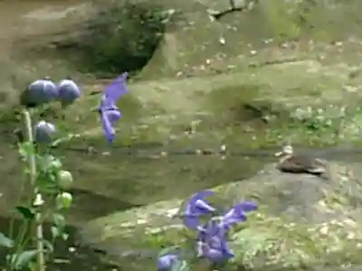 瑞泉寺のその他建物