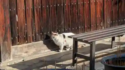 行願寺（革堂）(京都府)