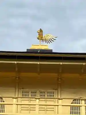 鹿苑寺（金閣寺）の{uncategorized: "未分類", other: "その他", undefined: "問題あり", building: "その他建物", grave: "お墓", sacred_gate: "鳥居", guardian: "狛犬", statue: "像", buddha: "仏像", history: "歴史", nature: "自然", garden: "庭園", animal: "動物", pagoda: "塔", temizu: "手水舎", mountain_gate: "山門・神門", sanctuary: "本殿・本堂", subordinate: "末社・摂社", art: "芸術", scenery: "景色", jizo: "地蔵", ema: "絵馬", goshuin: "御朱印", omikuji: "おみくじ", items: "授与品その他", amulet: "お守り", goshuincho: "御朱印帳", eats: "食事", festival: "お祭り", votive_dance: "神楽", shichigosan: "七五三参", wedding: "結婚式", experience: "体験その他", initially: "初詣", around: "周辺", anti_infection: "感染症対策"}
