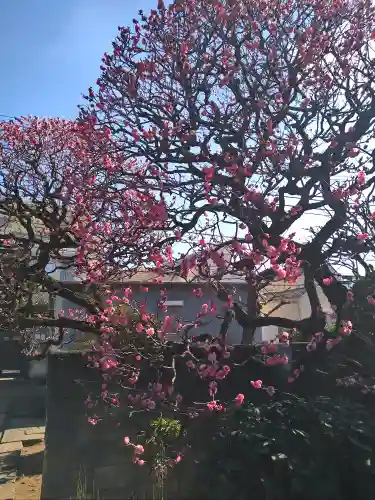 円乗院(東京都)