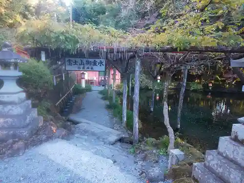 富士山本宮浅間大社(静岡県)