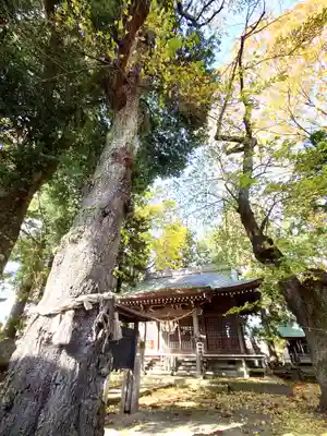 磐梯神社(福島県)