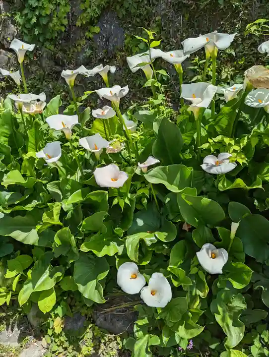 惠心院(京都府)