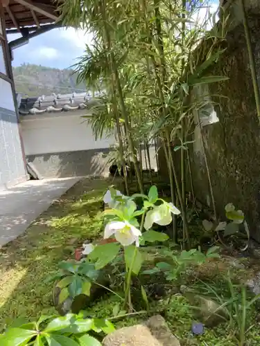 金剛城寺の自然