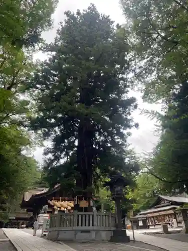 諏訪大社下社秋宮(長野県)