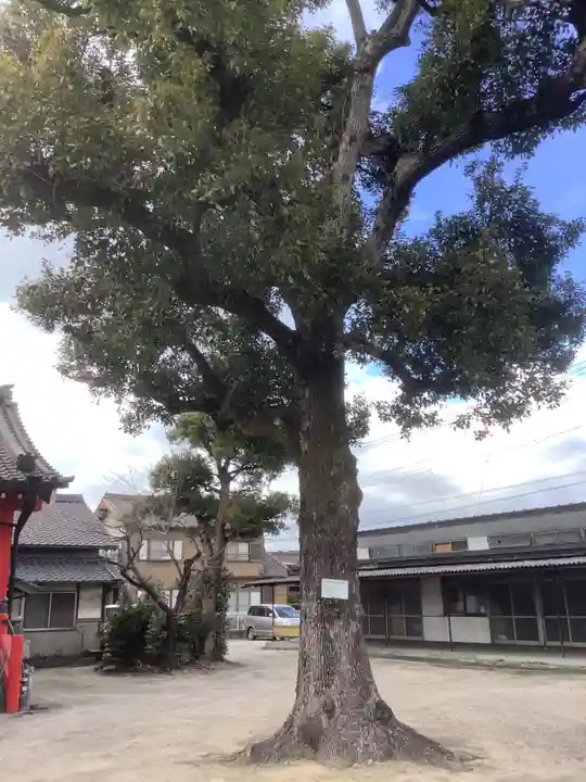 仙養山 玉泉寺の自然