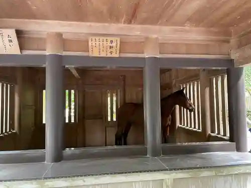 伊勢神宮内宮（皇大神宮）(三重県)