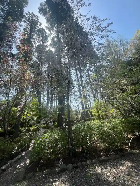 國吉神社(千葉県)