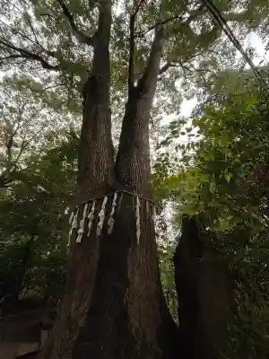 代々木八幡宮(東京都)
