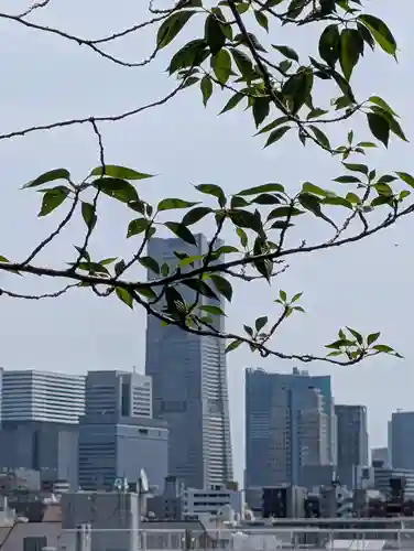 （芝生）浅間神社(神奈川県)