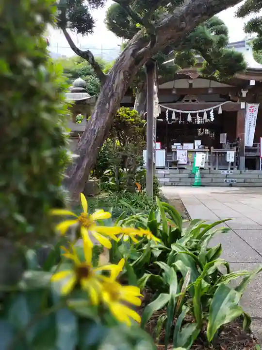 鳩森八幡神社のその他建物